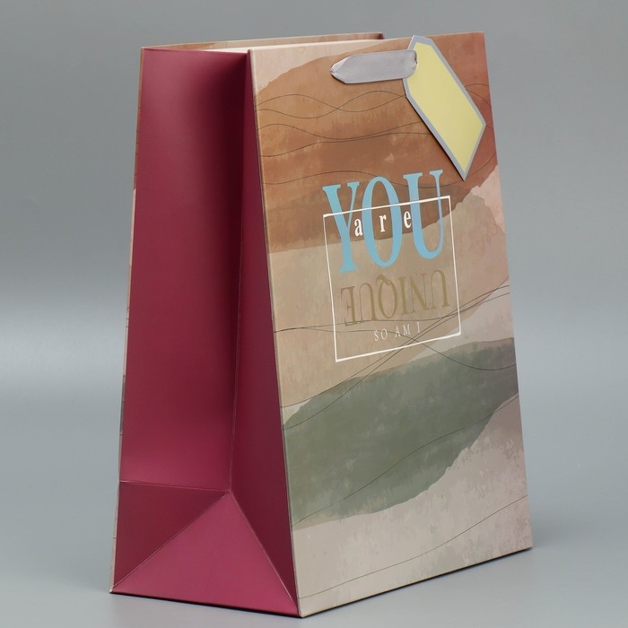 Пакет подарочный ламинированный, упаковка, &laquo;Ты особенный&raquo;, 25.4 х 30.5 х 12.7 см