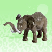 Набор животных «Африка», 6 фигурок Набор животных «Африка», 6 фигурок