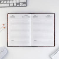 Ежедневник &laquo;Каждый день&raquo;, А5, 160 листов