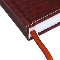 Ежедневник датированный 2024 года, А5, 176 листов, Attomex.Croco, обложка искусственная кожа, ляссе, блок 70 г/м2, коричневый