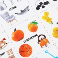 Набор обучающих плакатов «Изучаем мир», 10 в 1, А4 Набор обучающих плакатов «Изучаем мир», 10 в 1, А4