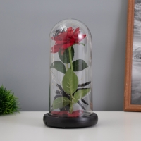 Светильник колба «Паук с розой» 1,5Вт, LED, 3xAAA, черный USB 11х11х21см Светильник колба «Паук с розой» 1,5Вт, LED, 3xAAA, черный USB 11х11х21см