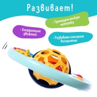 Погремушка детская &laquo;Шарик&raquo;, с прорезывателем для зубов, МИКС