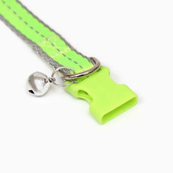 Ошейник Ошейник "Неон" 24-36 х 1,5 см, зелёный