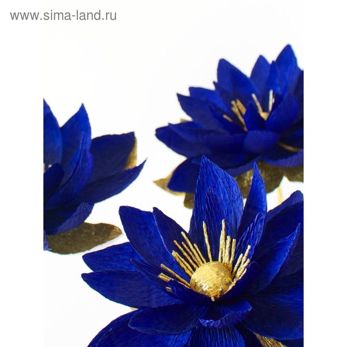 Бумага гофрированная, 955 "Тёмно-синяя", 0,5 х 2,5 м