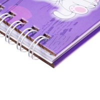 Записная книжка подарочная, 45 листов, линия, на замке, на гребне, Подружки (17,8х13см) Записная книжка подарочная, 45 листов, линия, на замке, на гребне, Подружки (17,8х13см)