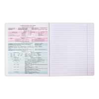 Тетрадь предметная РУССКИЙ ЯЗЫК, 48 листов в линейку, ErichKrause Persons, пластиковая обложка, шелкография, блок офсет 100% белизна, инфо-блок