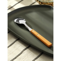 Ложка столовая из нержавеющей стали &laquo;Эко-стейк&raquo;, длина 19,5 см, толщина 1,5 мм, деревянная ручка, цвет ручки МИКС