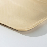 Поднос, 52,5×32,5 см, цвет бежевый Поднос, 52,5×32,5 см, цвет бежевый