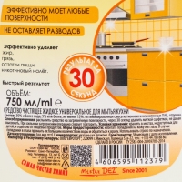 Чистящее средство Mister Dez Eco-Cleaning "Дыня", спрей, для кухни, 750 мл Чистящее средство Mister Dez Eco-Cleaning "Дыня", спрей, для кухни, 750 мл