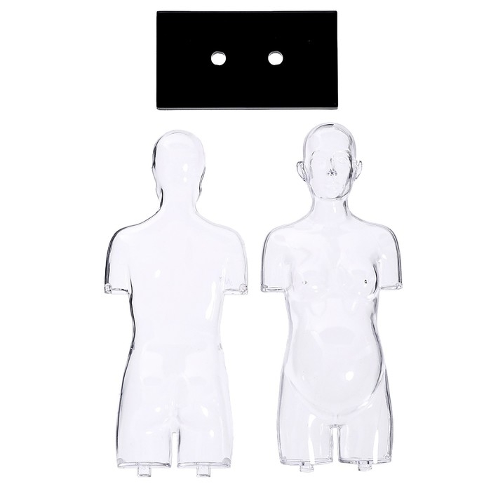 Набор для опытов «Строение тела», беременная женщина Набор для опытов «Строение тела», беременная женщина