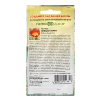 Семена Литопс "Живые Камни", ц/п, 5 шт. Семена Литопс "Живые Камни", ц/п, 5 шт.