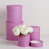 Набор шляпных коробок 4 в 1 "Сирень", 20 × 20 ‒13 × 13 см Набор шляпных коробок 4 в 1 "Сирень", 20 × 20 ‒13 × 13 см