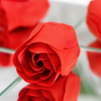 Мыльные розочки, красные, набор 10 шт. Мыльные розочки, красные, набор 10 шт.