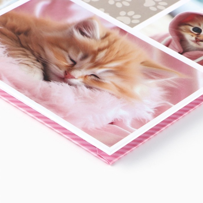 Дневник школьный для 1-11 класса, в твердой обложке, 40 л. &laquo;Кошка&raquo;