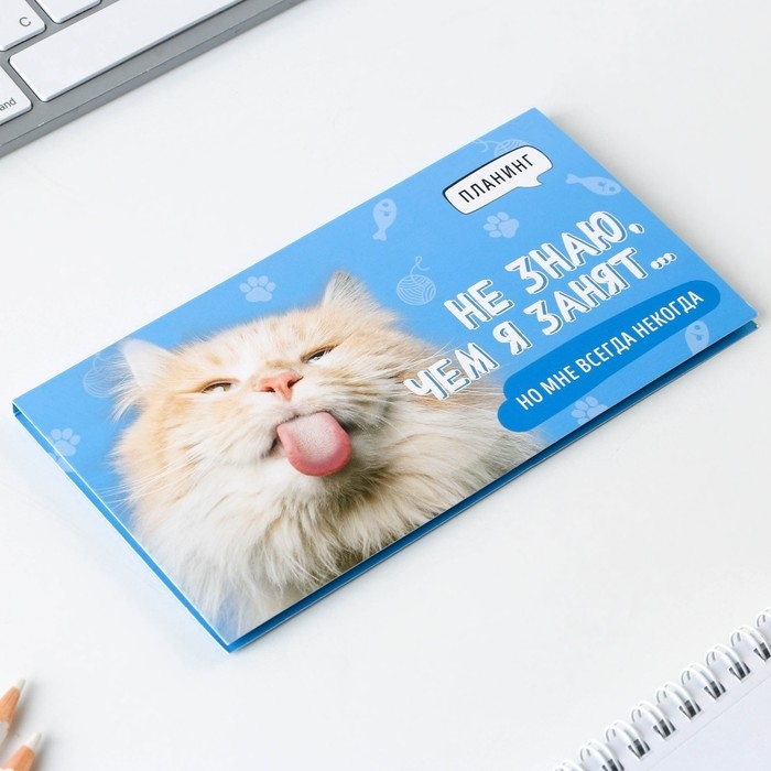 Планинг с отрывными листами &laquo;Кот&raquo;, мягкая обложка, 50 листов