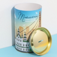 Копилка XXL «Тюмень», 20 х 12,5 см Копилка XXL «Тюмень», 20 х 12,5 см