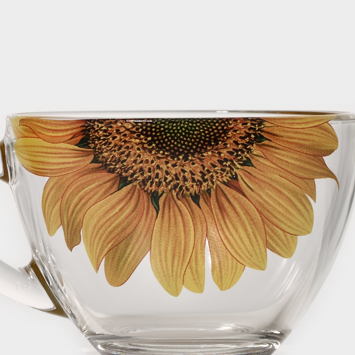 Чайная пара стеклянная &laquo;Живая природа. Подсолнух&raquo;, 250 мл