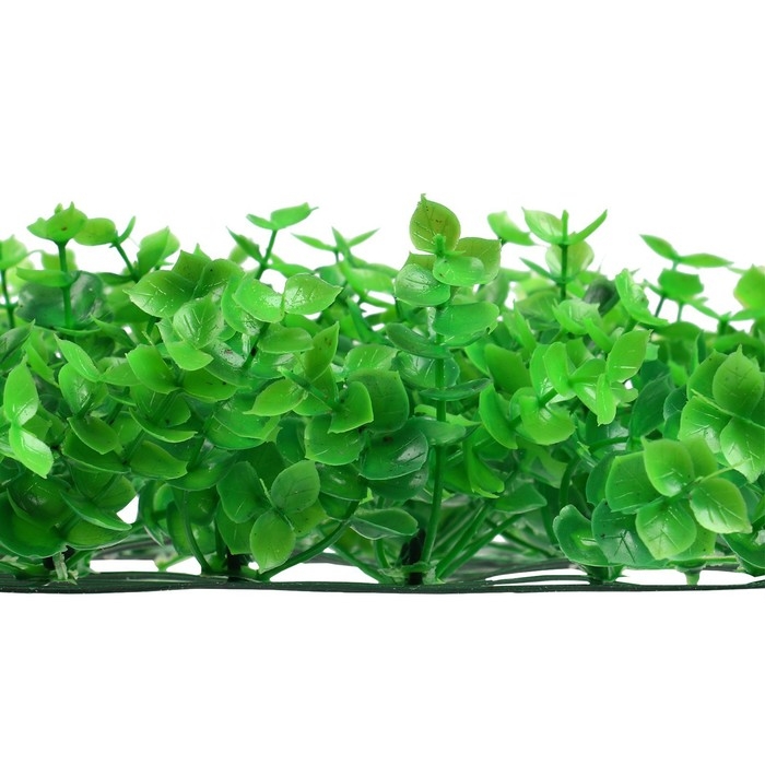 Декоративная панель, 25 &times; 25 см, &laquo;Высокий мох&raquo;, Greengo