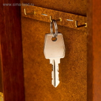 Ключница "Сова в ночи" орех 15х21 см