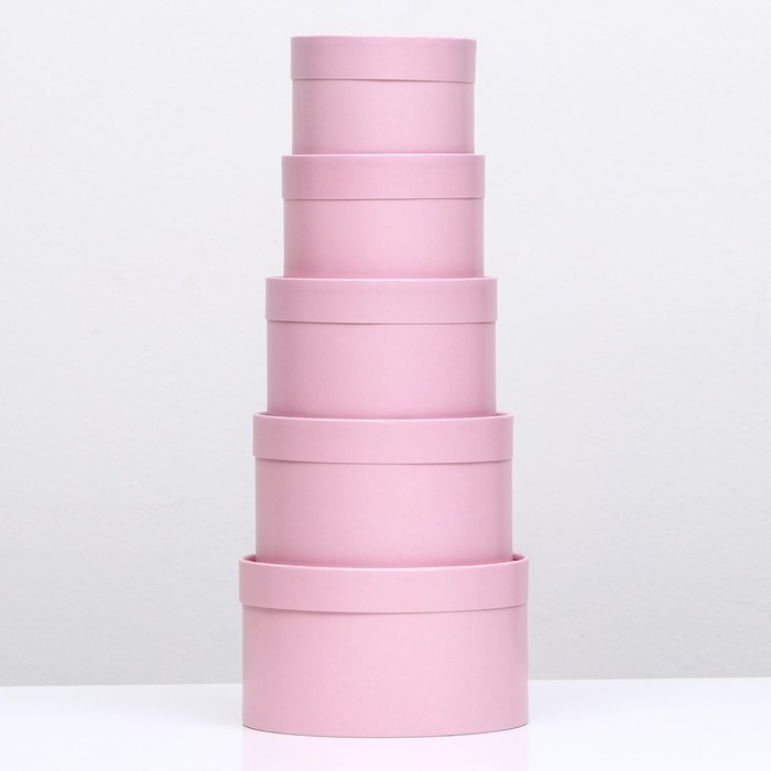 Набор шляпных коробок 5 в 1,"Пыльная роза", 20 х 12,18 х 11,16 х 10,14 х 9,13 х 8,5 см