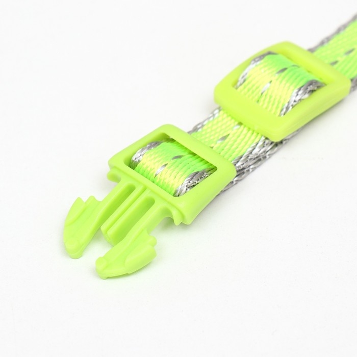 Ошейник Ошейник "Неон" 24-36 х 1,5 см, зелёный