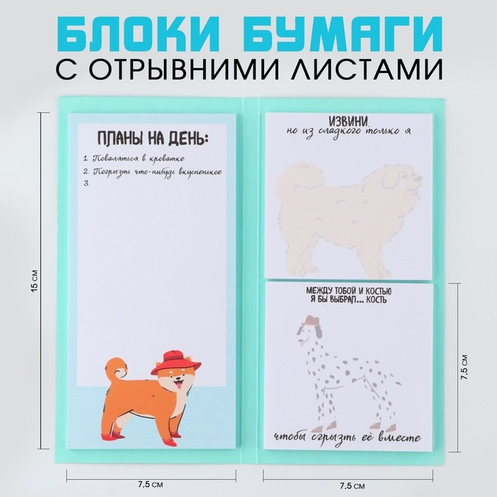 Блоки бумаги с отрывными листами &laquo;Суть жизни&raquo;