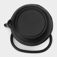 Чайник для плиты с эмалированным покрытием внутри Magma &laquo;Танан&raquo;, 800 мл, чугун, с ситом, индукция