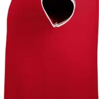 Рубашка поло мужская Pasadena Men 200 с контрастной отделкой красная с белым, размер L