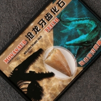 Набор зубов "Мазозавр" Набор зубов "Мазозавр"