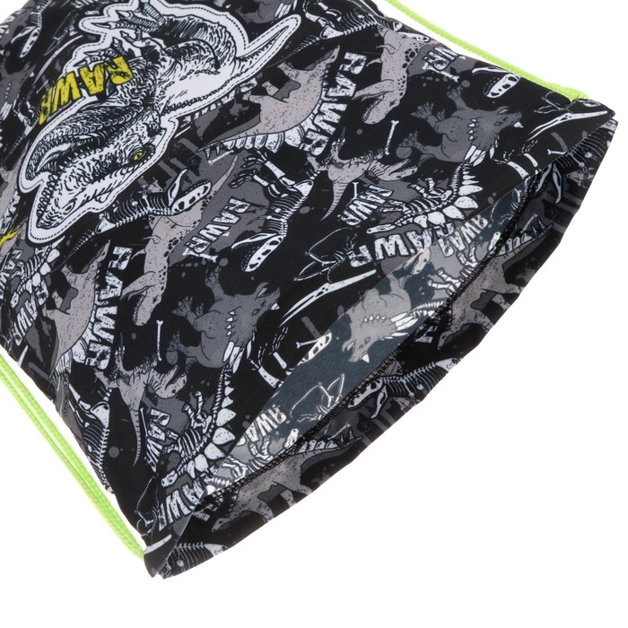 Мешок для обуви 440 х 365 мм, Erich Krause, плотность 300D, со светоотражающей полосой, Dinosaur Park Мешок для обуви 440 х 365 мм, Erich Krause, плотность 300D, со светоотражающей полосой, Dinosaur Park