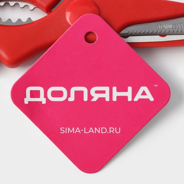 Ножницы кухонные Доляна &laquo;Вега&raquo;, 20 см, цвет МИКС