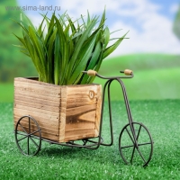 Кашпо-велосипед 23х8х12см Кашпо-велосипед 23х8х12см