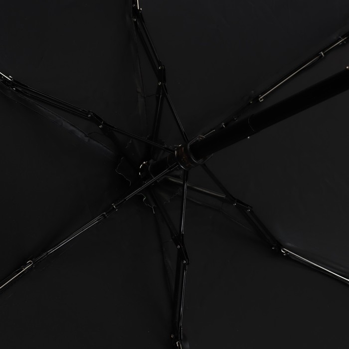 Зонт женский механический &laquo;FCKNG WTHR&raquo;, 8 спиц, d=95, цвет чёрный