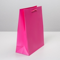 Пакет подарочный ламинированный, упаковка, &laquo;Фуксия&raquo;, MS 18 х 23 х 8 см