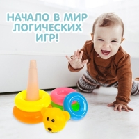 Пирамидка &laquo;Мишка&raquo;, 5 колец