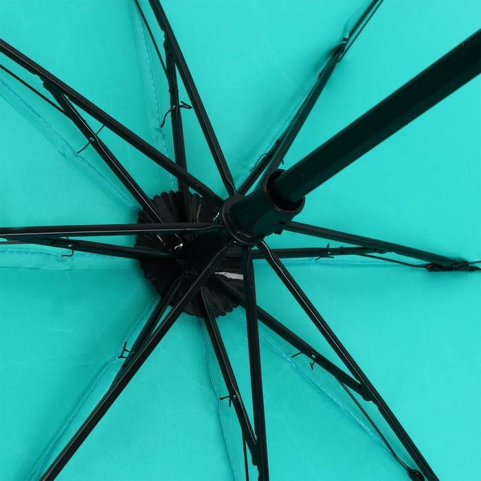 Зонт женский механический &laquo;Цветы&raquo;, 8 спиц, d=95, цвет бирюзовый