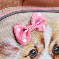 Ранец школьный на замке, 37 х 25 х 14 см, Erich Krause ErgoLine 15L, Corgi Puppy 60084 Ранец школьный на замке, 37 х 25 х 14 см, Erich Krause ErgoLine 15L, Corgi Puppy 60084