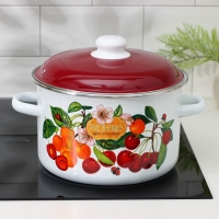 Кастрюля эмалированная &laquo;Черешня&raquo;, 5.5 л, индукция, цвет белый