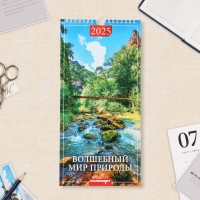 Календарь на ригеле "Волшебный мир природы" 2025 год, 16,5 х 34 см Календарь на ригеле "Волшебный мир природы" 2025 год, 16,5 х 34 см