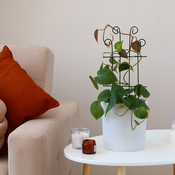 Шпалера, 40 &times; 18 &times; 0.3 см, металл, зелёная, &laquo;Узорная&raquo;