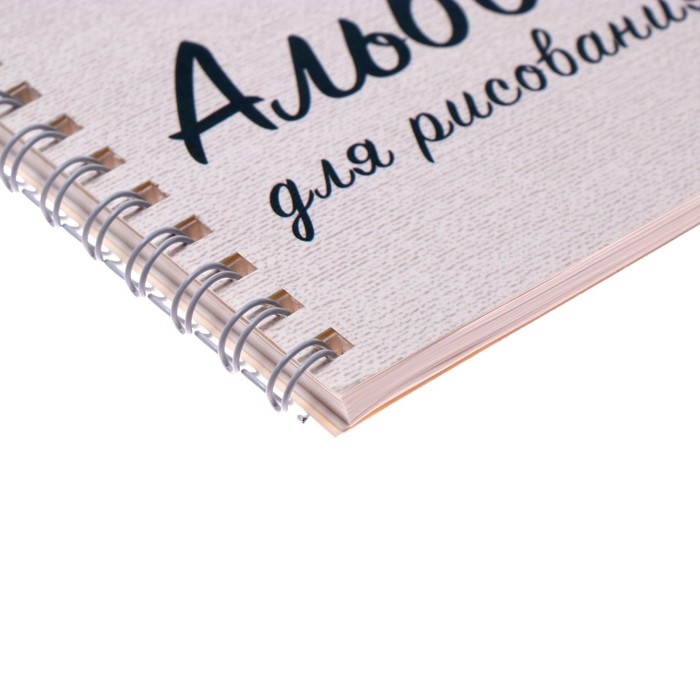 Альбом для рисования А5, 40 листов на гребне "Дельфин", обложка мелованный картон, блок 100 г/м&sup2;