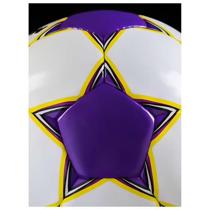 Футбольный мяч MINSA Match, ручная сшивка, 32 панели, р. 5, TPU Футбольный мяч MINSA Match, ручная сшивка, 32 панели, р. 5, TPU