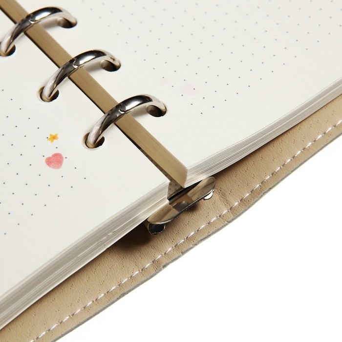 Записная книжка А5, 160 листов на кольцах DAILY JOURNAL, обложка искусственная кожа, блок с иллюстрациями 80 г/м2, МИКС