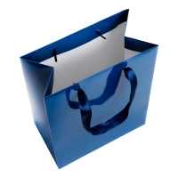 Пакет ламинированный &laquo;Синий&raquo;, 18 х 23 х 10 см