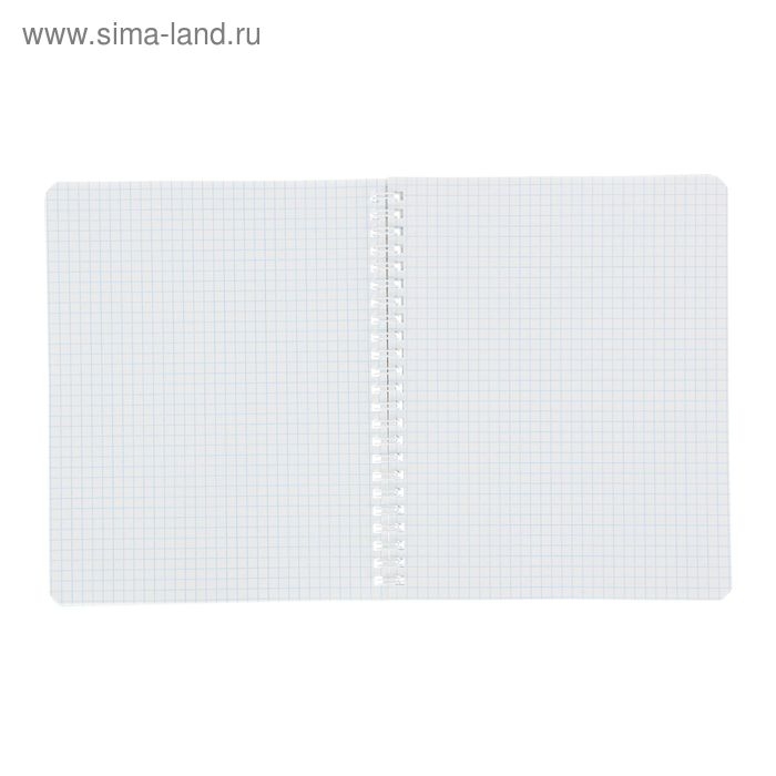 Тетрадь 80 листов, в клетку, на гребне, Тетрадь 80 листов, в клетку, на гребне, "Пушистые мордочки", картонная обложка, 4 вида МИКС