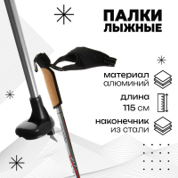 Палки лыжные алюминиевые Gekars Expert Plus, длина 115 см Палки лыжные алюминиевые Gekars Expert Plus, длина 115 см