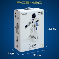 Робот &laquo;Карл&raquo;, на радиоуправлении, интерактивный, световые, звуковые эффекты, работает от аккумулятора