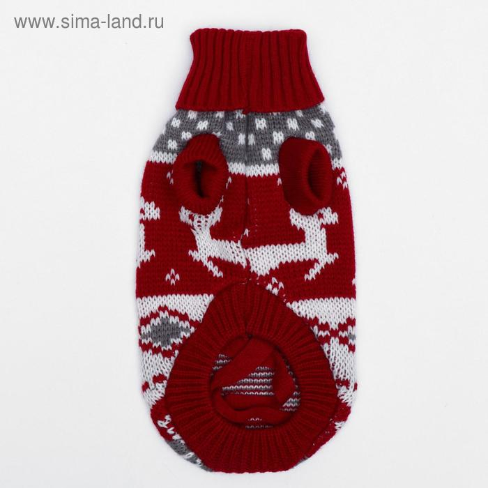 Свитер, размер 10 (ДС 30-45, ОШ 16-31, ОГ 30-45 см), микс расцветок