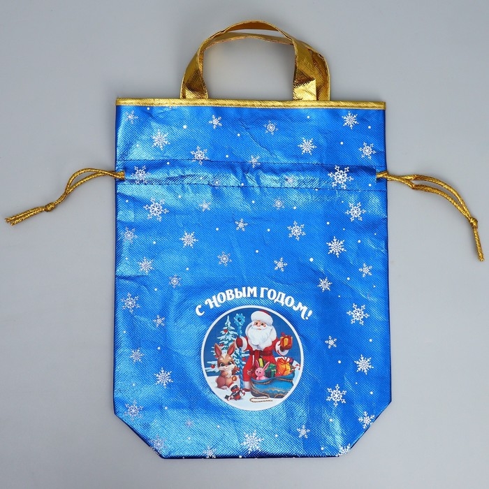 Пакет-мешок из нетканного материала «Новый год», 25 х 32 см, Новый год Пакет-мешок из нетканного материала «Новый год», 25 х 32 см, Новый год